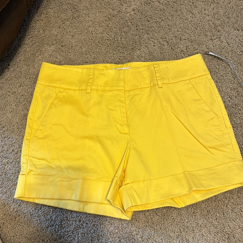 New York & Company cuffed shorts